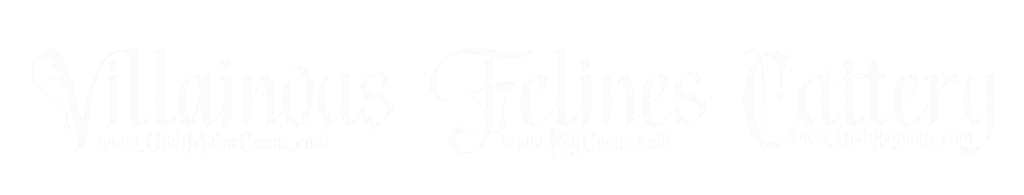 Villainous Felines Watermark Logo White
