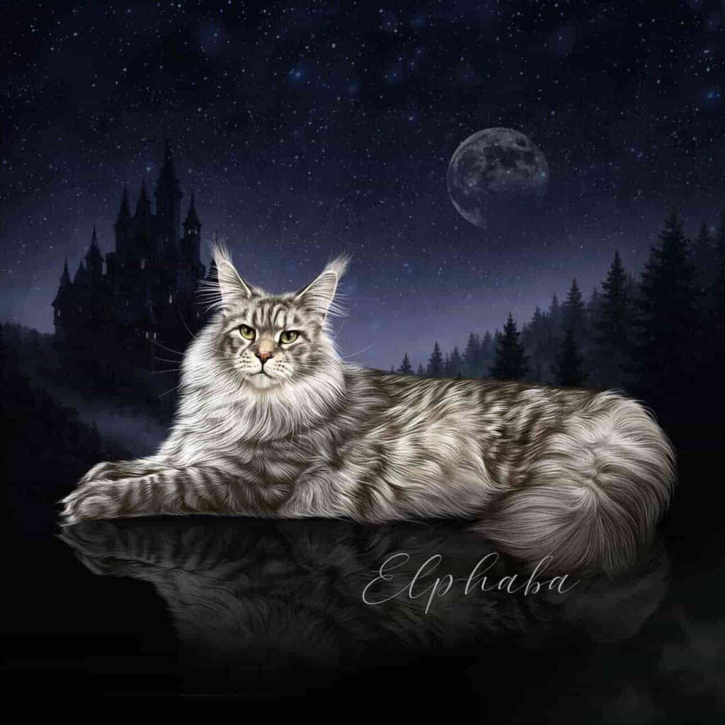 Blue and Silver mackerel tabby Maine Coon queen Elphaba with long coat and ear tufts under moonlit sky at Villainous Felines Utah cattery
